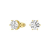 4 ctw Round Moissanite 6 Prong Stud Earrings