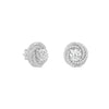 Twilight Halo Moissanite Stud Earrings