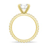 Round Moissanite Engagement Ring With Eternity Pave Band