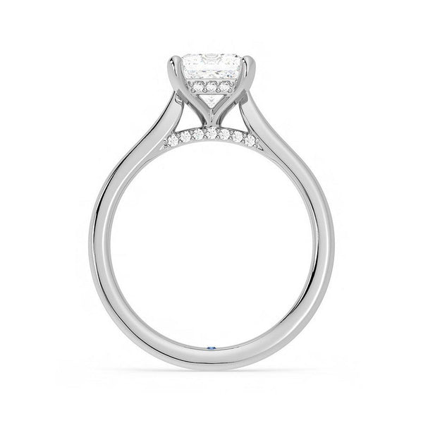 Princess Cut Moissanite Engagement Ring with Hidden Anniversary Stone and Secret Accents