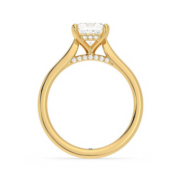 Princess Cut Moissanite Engagement Ring with Hidden Anniversary Stone and Secret Accents