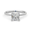 Four Prong Princess Cut Moissanite Engagement Ring with Hidden Anniversary Stone Accent