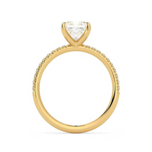 Four Prong Princess Cut Moissanite Engagement Ring with Hidden Anniversary Stone Accent