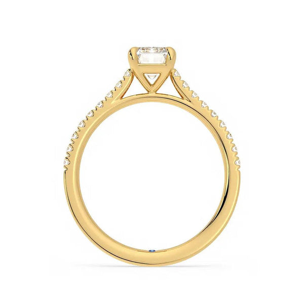 Emerald Cut Moissanite Engagement Ring with Hidden Anniversary Stone and Pavé Accents