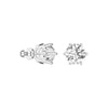 4 ctw Round Moissanite 6 Prong Stud Earrings