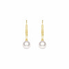 8mm Freshwater Cultured Pearl Leverback Earrings
