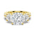 Double Row Pave Three Stone Cushion Cut Moissanite Engagement Ring