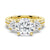 Double Row Pave Three Stone Round Cut Moissanite Engagement Ring