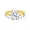 Round Pave Moissanite Cathedral Engagement Ring With Hidden Halo