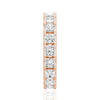 5ctw. Princess Cut Moissanite Eternity Band